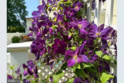 2316 Bauernschmidt, Essex, MD 21221 - Photo 80