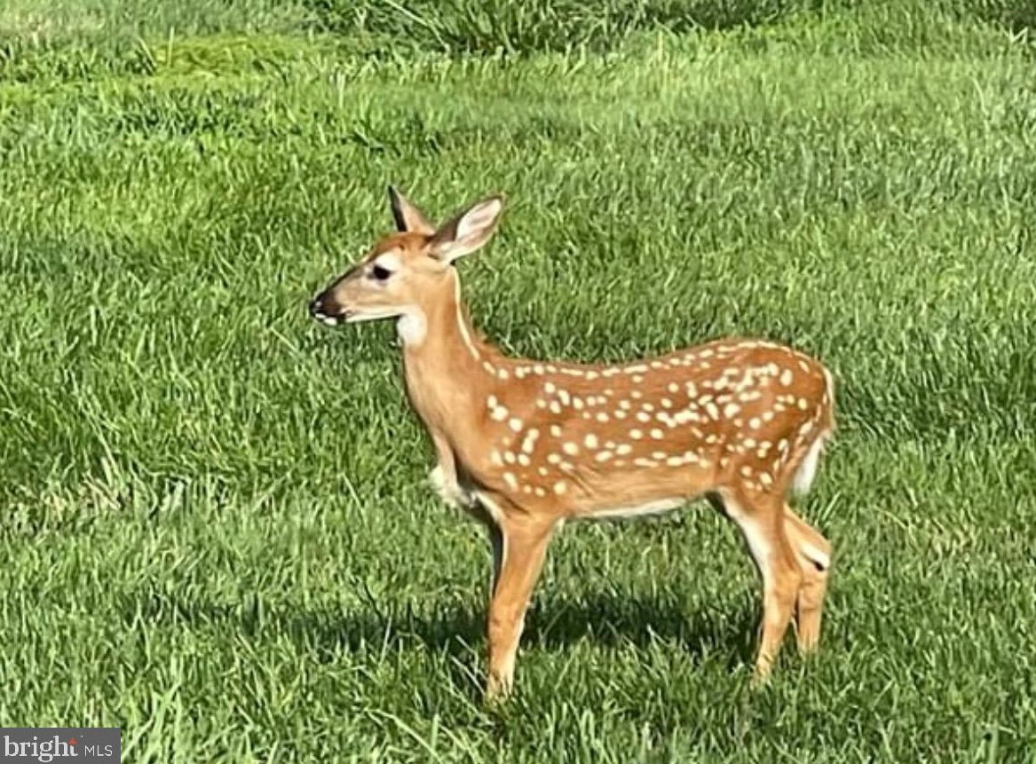 6641 Greenhill Ct, Huntingtown MD 20639-3210 exterior