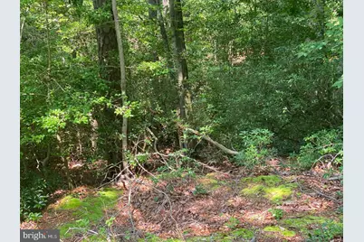 1045 Hyland Lane, Lusby, MD 20657 - Photo 4