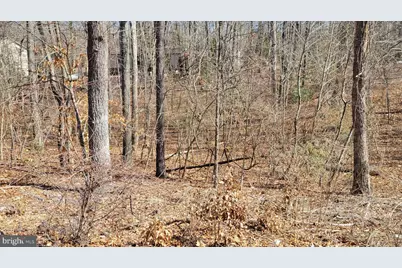 11436 Stirrup Lane, Lusby, MD 20657 - Photo 1