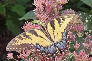 4950 Hardesty Rd, Huntingtown, MD 20639 - Photo 94