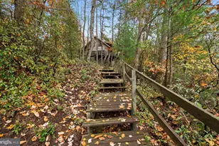 548 Antelope Trl, Lusby, MD 20657 - Photo 54