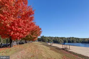 11479 Coronado Ct, Lusby, MD 20657 - Photo 42