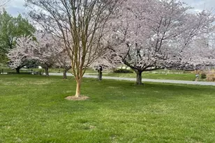 205 Cedar Beach Dr, Prince Frederick, MD 20678 - Photo 4