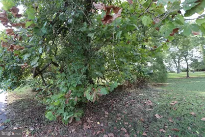 Lots 1 & 3 Riverside Drive, Bryans Road, MD 20616 - Photo 8