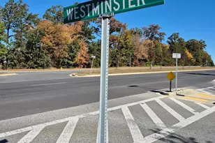 10891 St Patricks Pk Aly, Waldorf, MD 20603 - Photo 54