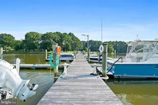 11335 Ethan Ct, Issue, MD 20645 - Photo 98