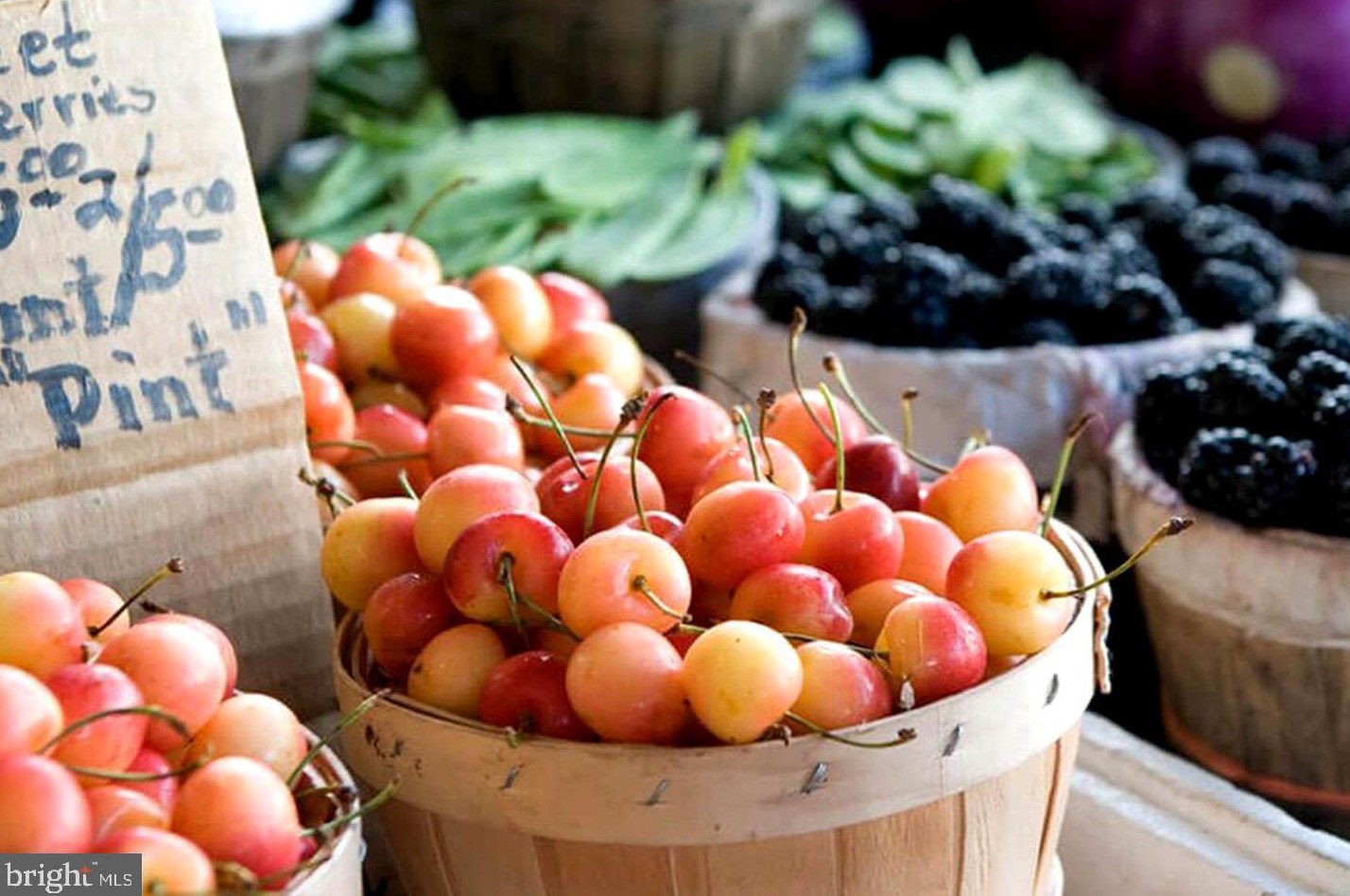 212 Maple Ave, Ridgely MD  21660-1911 exterior