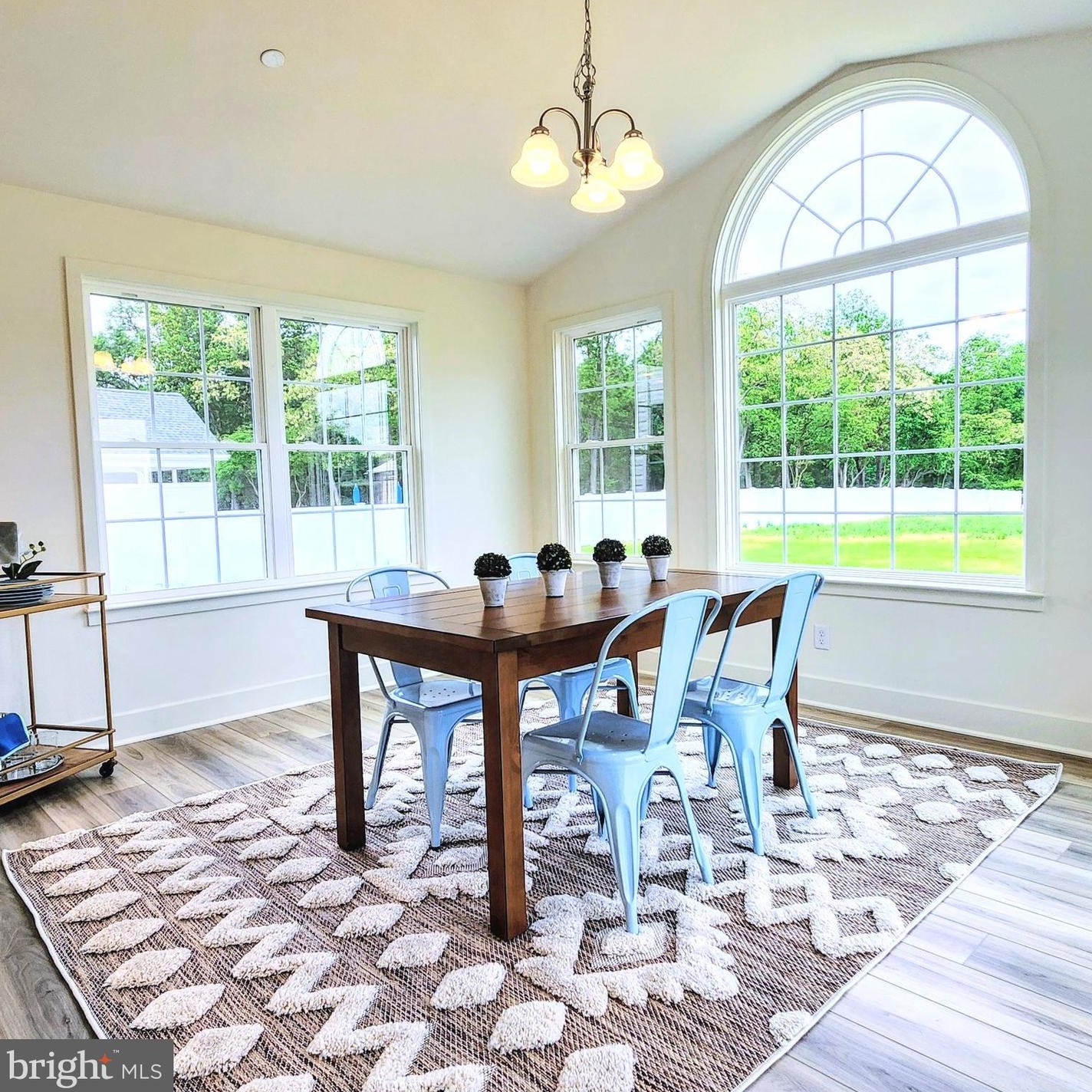 24730 Tribbett Cir, Ridgely MD 21660-1615 exterior