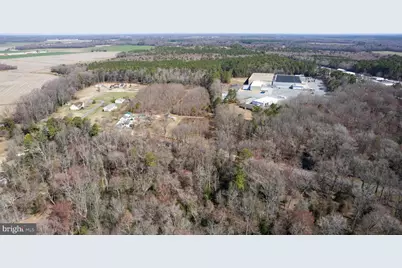 3871 Laurel Grove Road, Federalsburg, MD 21632 - Photo 2