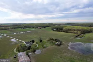 14271 Cedar Ln, Greensboro, MD 21639 - Photo 108