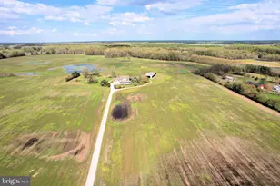 14271 Cedar Ln, Greensboro, MD 21639 - Photo 94