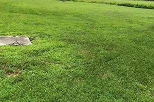 25548 Hill Rd, Greensboro, MD 21639 - Photo 8