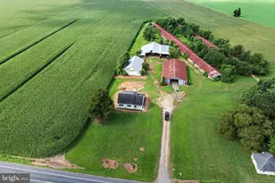 25699 Auction Rd, Federalsburg, MD 21632 - Photo 58