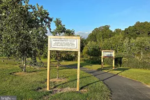 306 S Main St, Federalsburg, MD 21632 - Photo 38