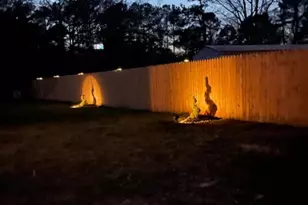 2766 Veterans Dr, Federalsburg, MD 21632 - Photo 50