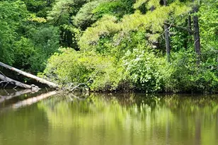 2766 Veterans Dr, Federalsburg, MD 21632 - Photo 38