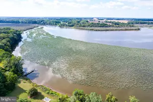 24800 Pealiquor Rd, Denton, MD 21629 - Photo 98