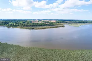 24800 Pealiquor Rd, Denton, MD 21629 - Photo 100