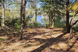 4935 Edmondson Creek Rd, Preston, MD 21655 - Photo 2