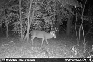 26623 Bee Tree Rd, Henderson, MD 21640 - Photo 32