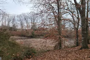 7929 Laurel Ln, Denton, MD 21629 - Photo 12