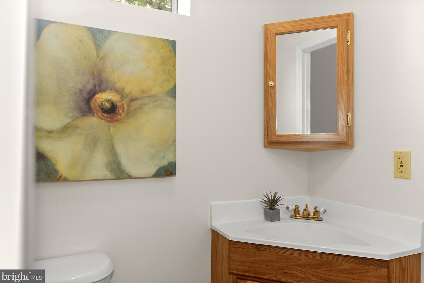 7241 Glenridge Dr, Mount Airy MD  21771-7242 exterior