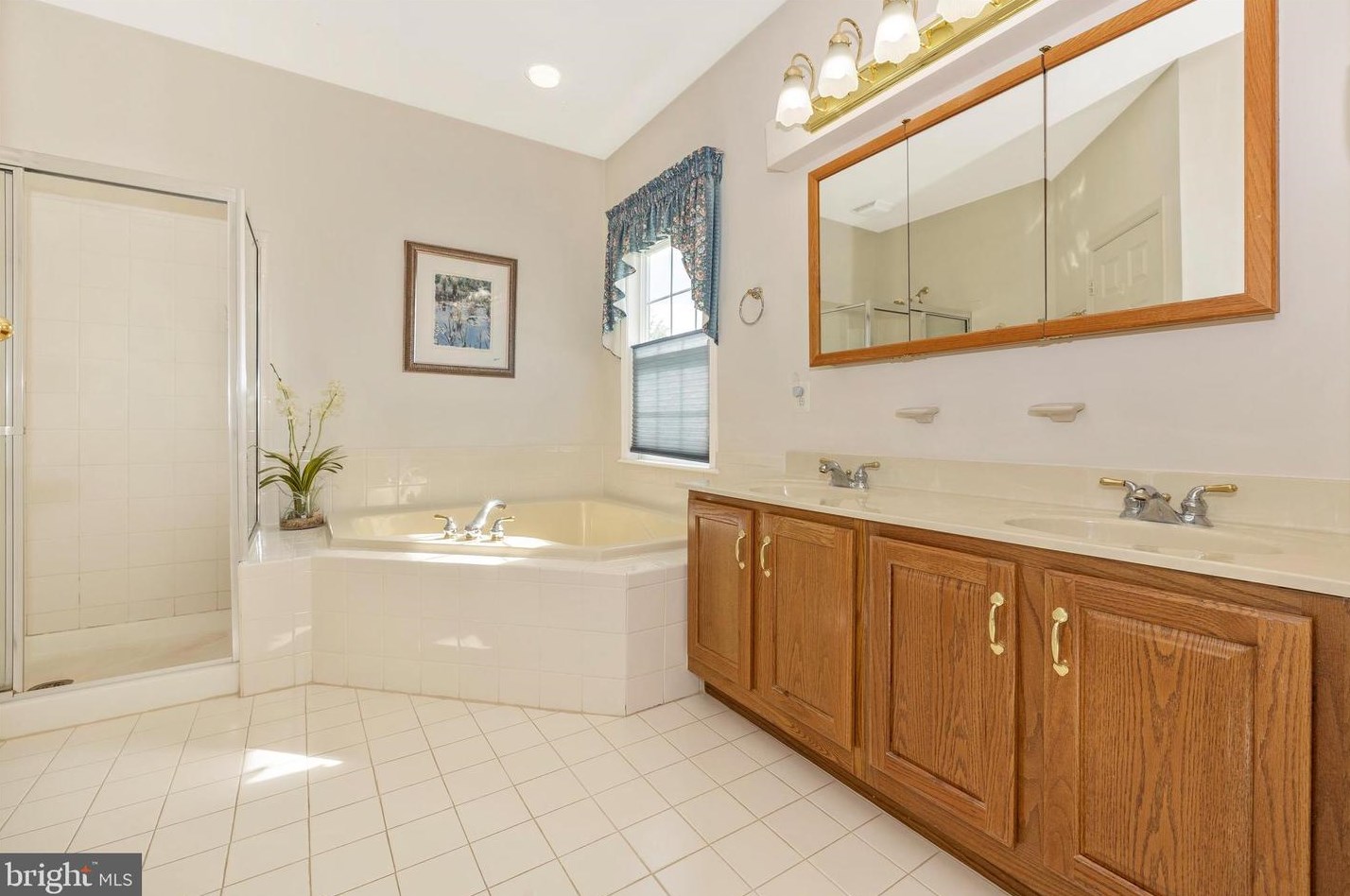 3185 Jupiter Island Ct, Mount Airy MD 21771-8070 exterior