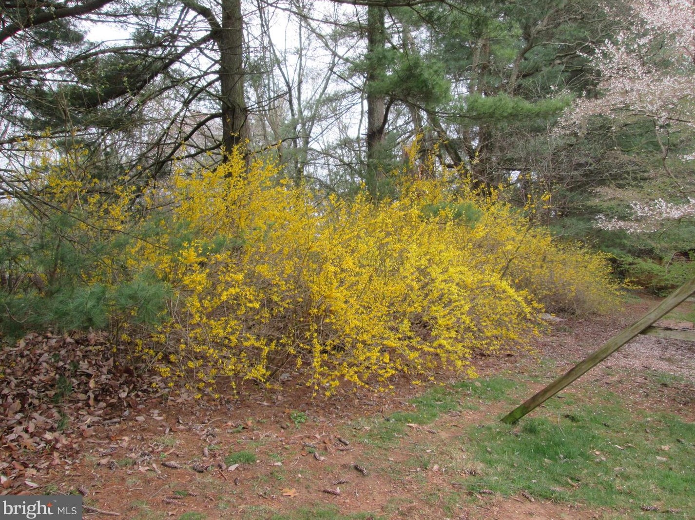 2505 Lewis Ln, Patapsco MD 21048-1440 exterior