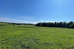 Cabbage Spring, Mount Airy, MD 21771 - Photo 10