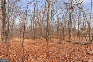 6158 Ridge Rd, Mount Airy, MD 21771 - Photo 44