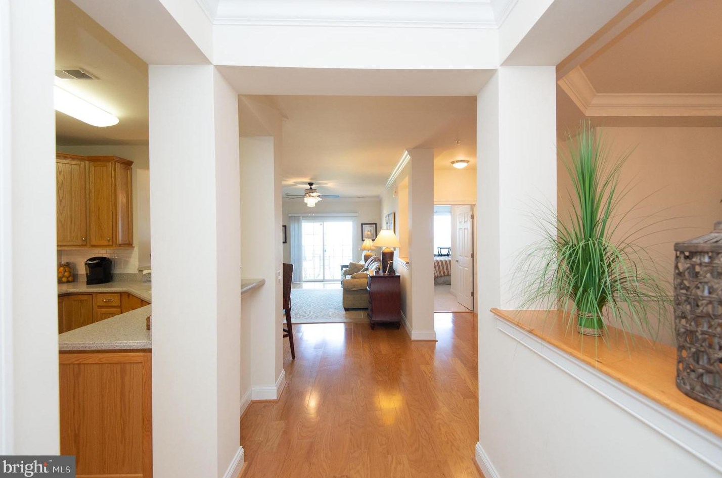 2700 Willow Oak Dr #206d, Cambridge, MD 21613