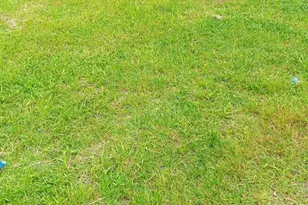 814 Park Ln, Cambridge, MD 21613 - Photo 1