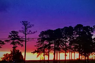 1826 Hoopersville, Fishing Creek, MD 21634 - Photo 94