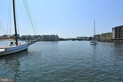 817 Locust Street, Cambridge, MD 21613 - Photo 36