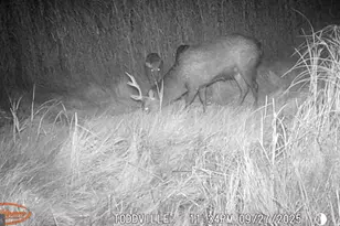 2703 Toddville Rd, Toddville, MD 21672 - Photo 24