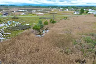 2703 Toddville Rd, Toddville, MD 21672 - Photo 12