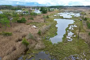 2703 Toddville Rd, Toddville, MD 21672 - Photo 14