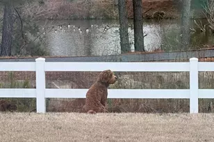 1606 Osprey Cir, Cambridge, MD 21613 - Photo 2