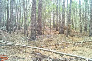 2575 Toddville Rd, Toddville, MD 21672 - Photo 10