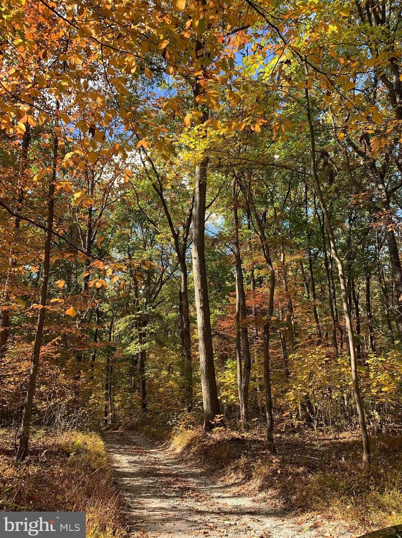 14456 Black Ankle Rd, Mount Airy MD  21771-9122 exterior