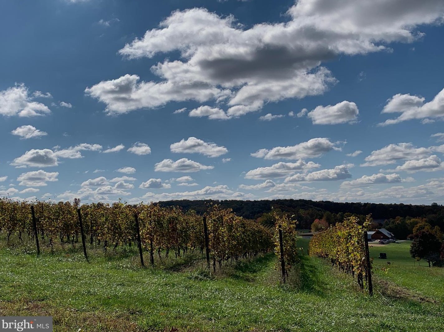 14456 Black Ankle Rd, Mount Airy MD  21771-9122 exterior