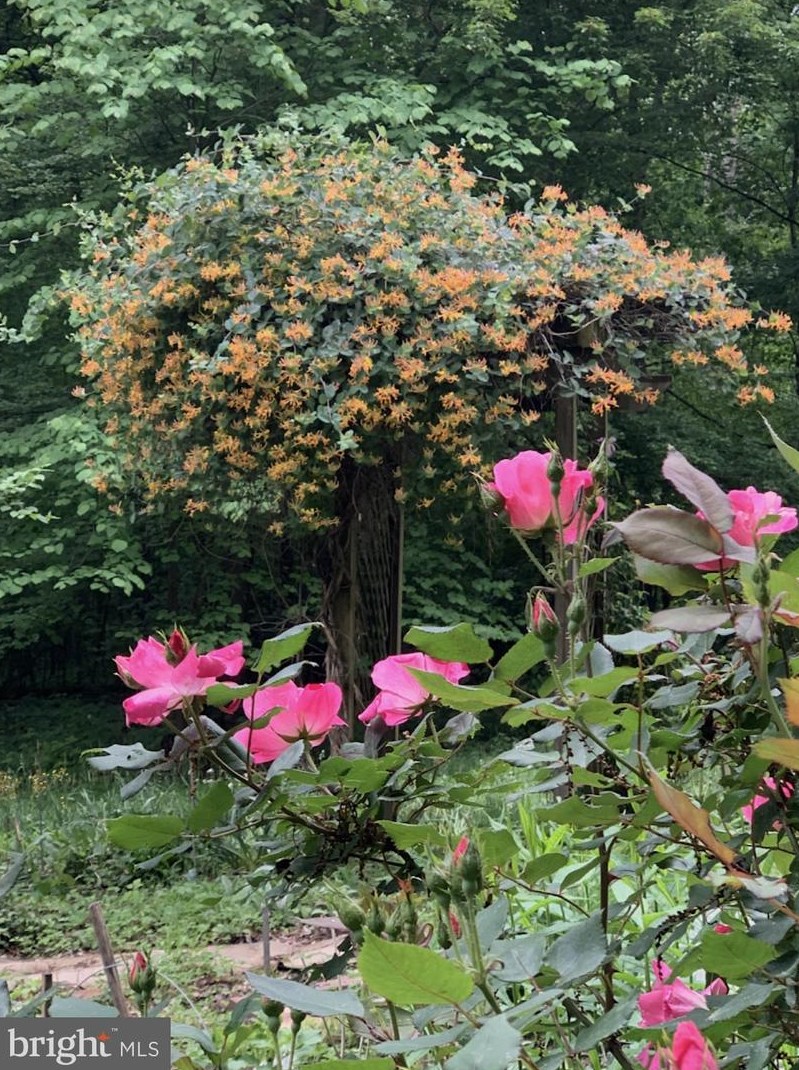 14456 Black Ankle Rd, Mount Airy MD  21771-9122 exterior