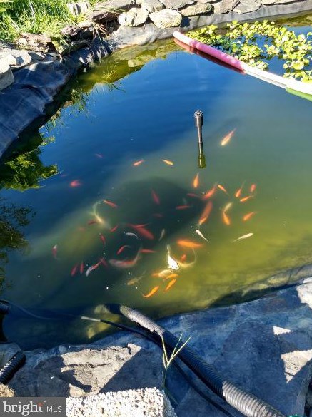 7670 Talbot Run Rd, Mount Airy MD  21771-8402 exterior