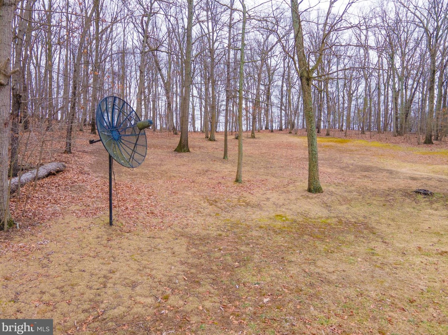 7845 Talbot Run Rd, Mount Airy MD  21771-8408 exterior