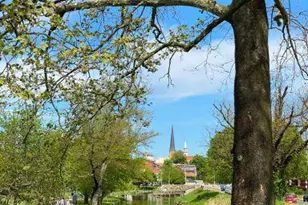 317 W College Terrace, Frederick, MD 21701 - Photo 94