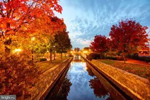 317 W College Terrace, Frederick, MD 21701 - Photo 98