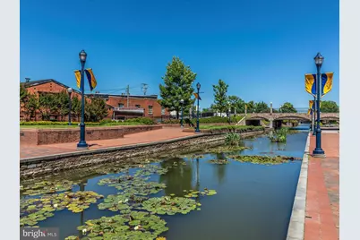 1003 Lavenport Way, Frederick, MD 21702 - Photo 74