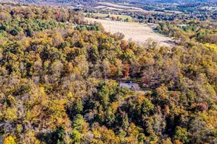 2240 Monument Rd, Myersville, MD 21773 - Photo 46