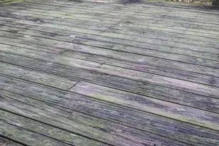 2583 Carrington Way, Frederick, MD 21702 - Photo 16